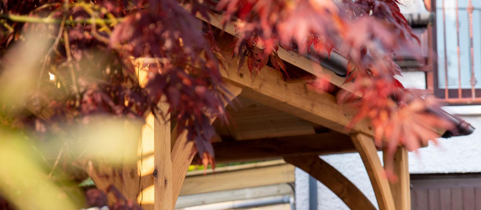 Braeside Guest House, Loch Lomond Drymen Exterior foto